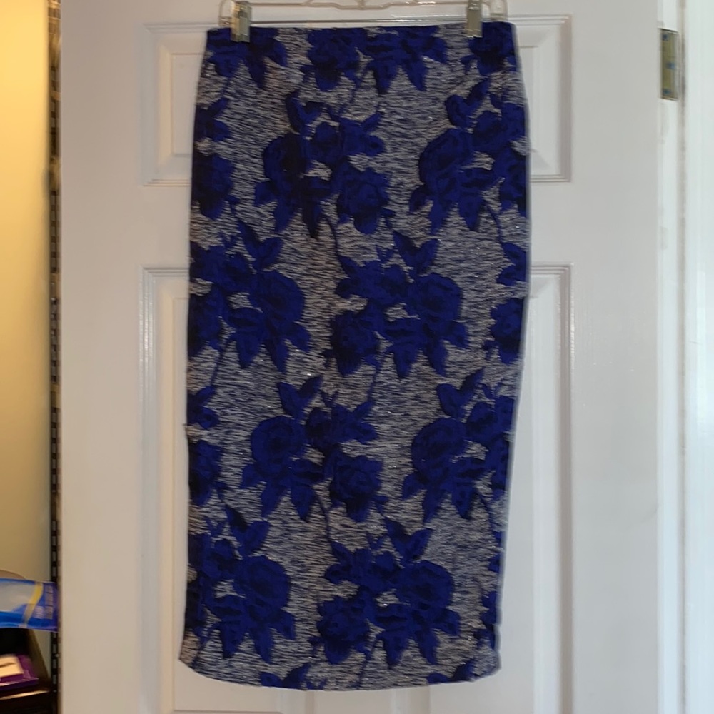 Gabrielle Union Skirt